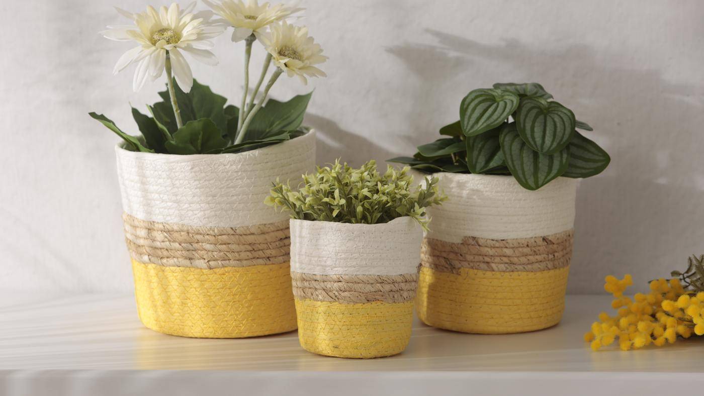 Nueva colección de Jardín