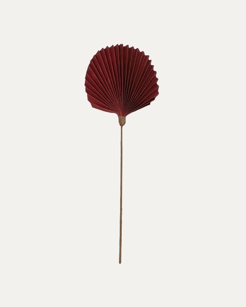 Hoja Decorativa Palm