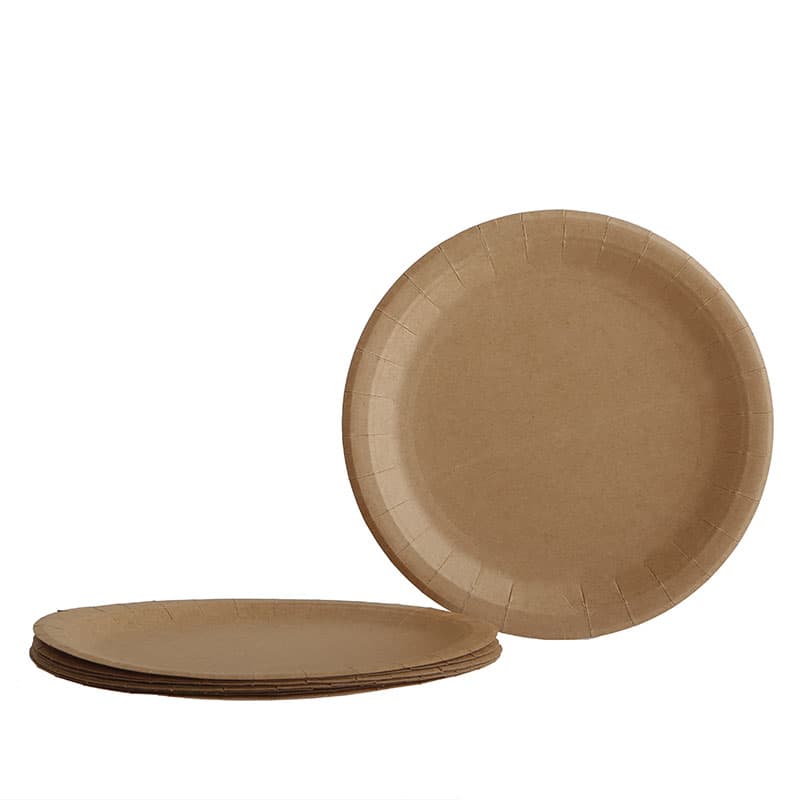 Juego Platos Ecológicos vista 2