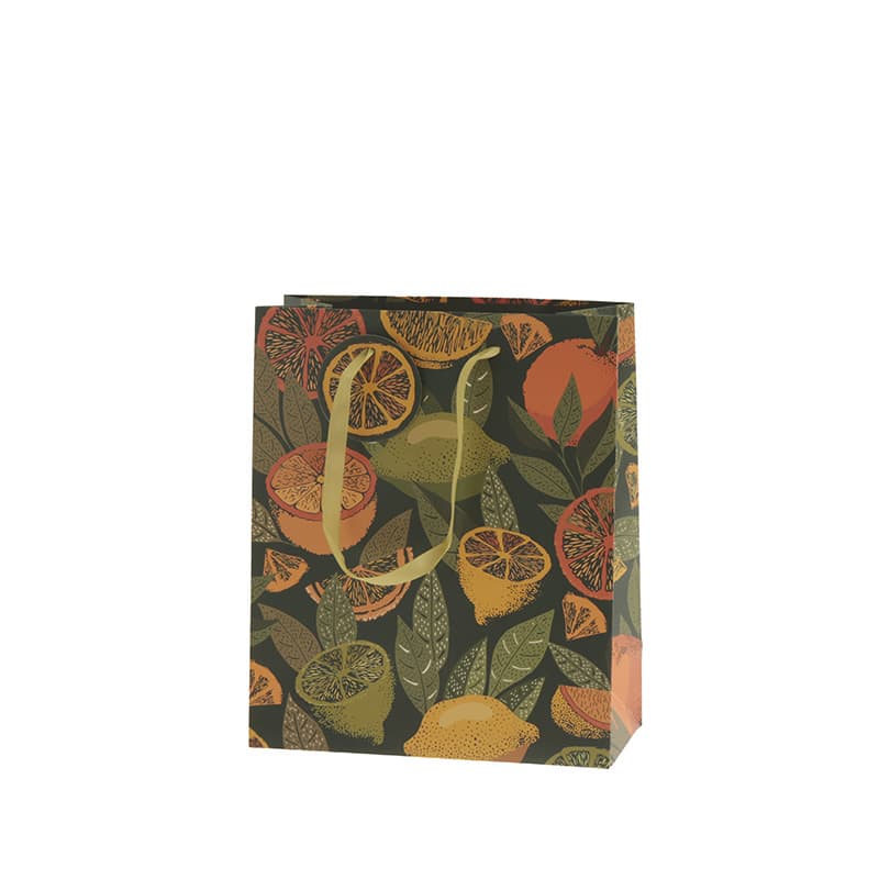 Bolsa Regalo Cítrico vista 2