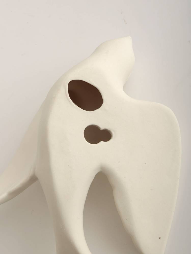 Golondrina Colgante vista 2