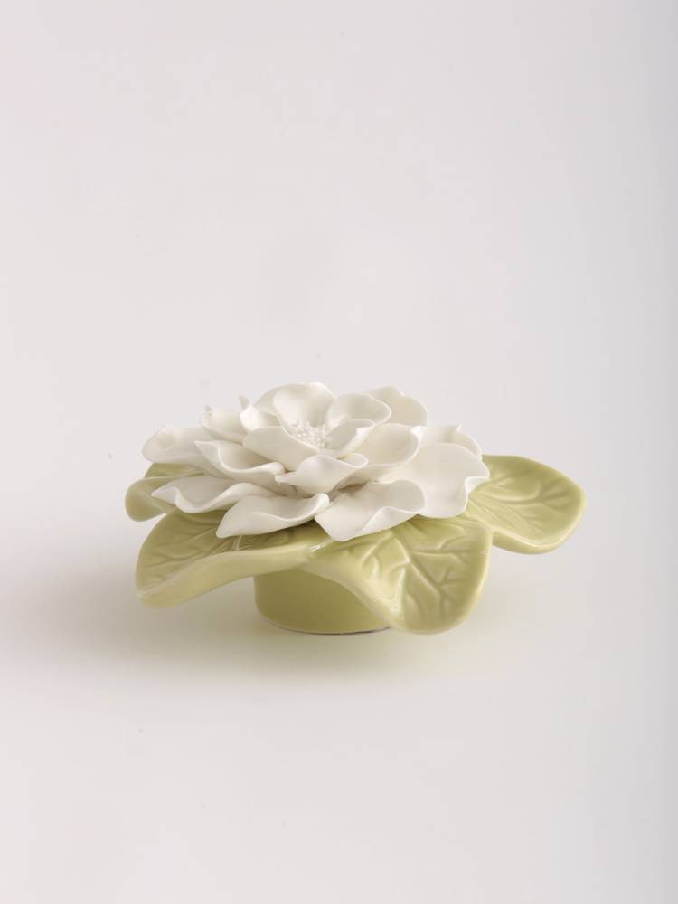 Rosa Bloomy vista 2