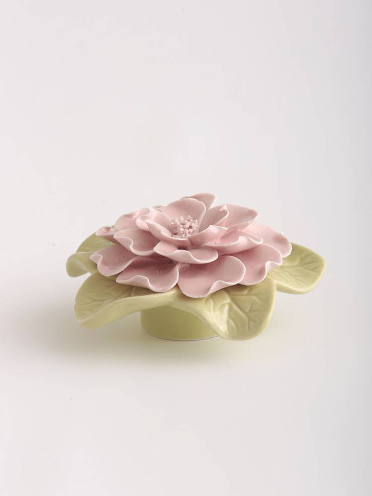 Rosa Bloomy