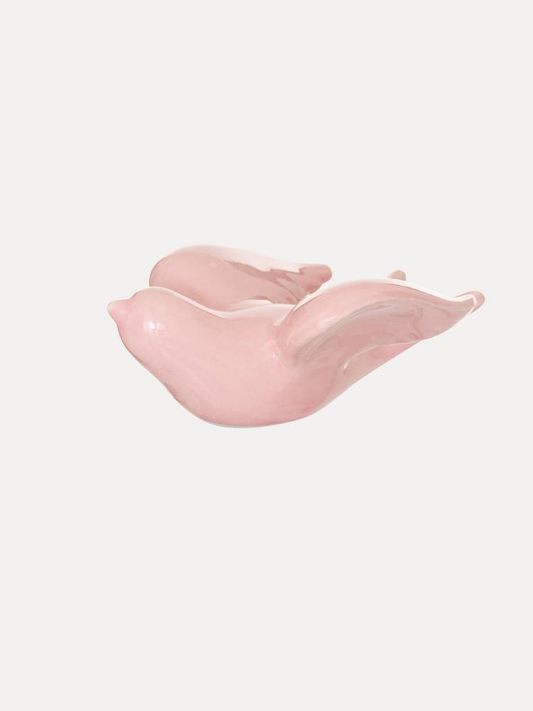 Golondrina Colgante vista 2