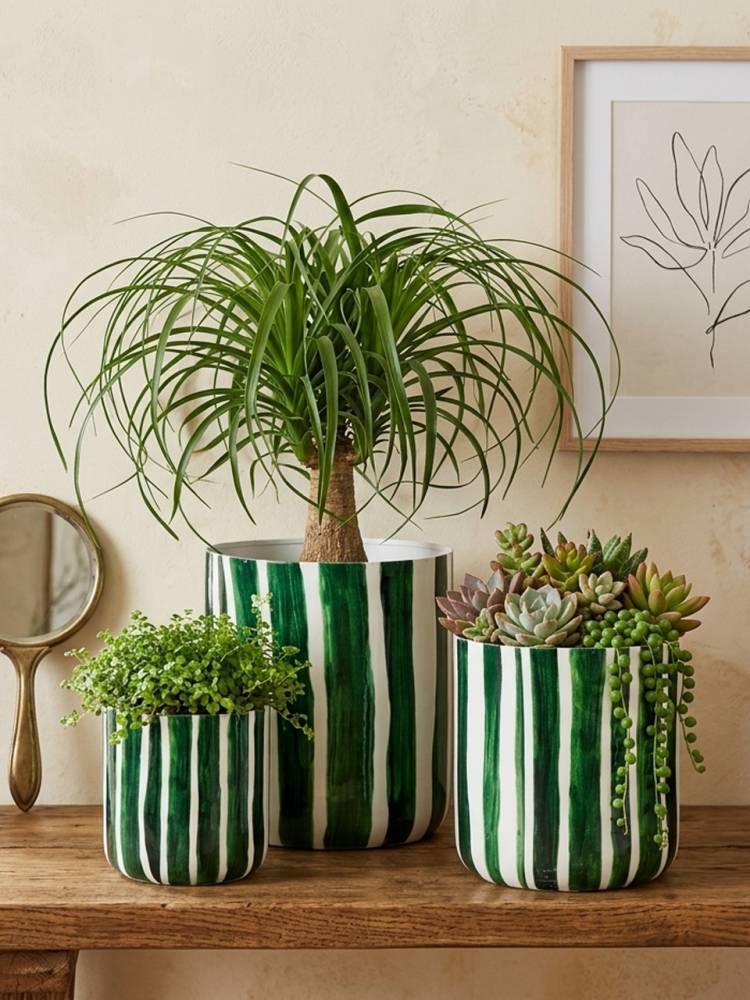 Macetero Musgo vista 2