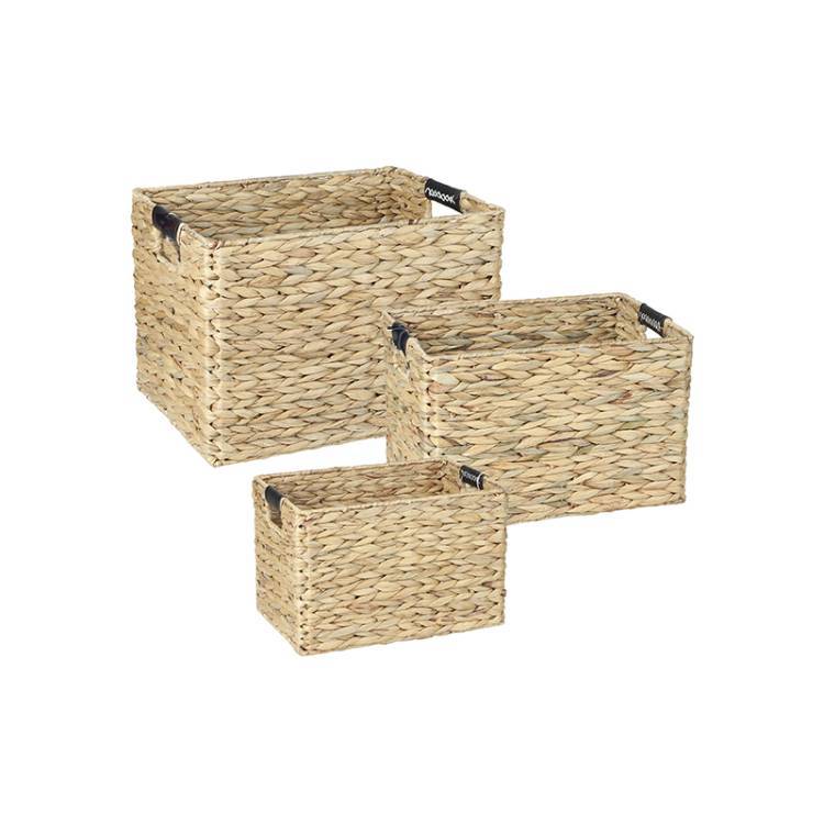 Cesta Jacinto