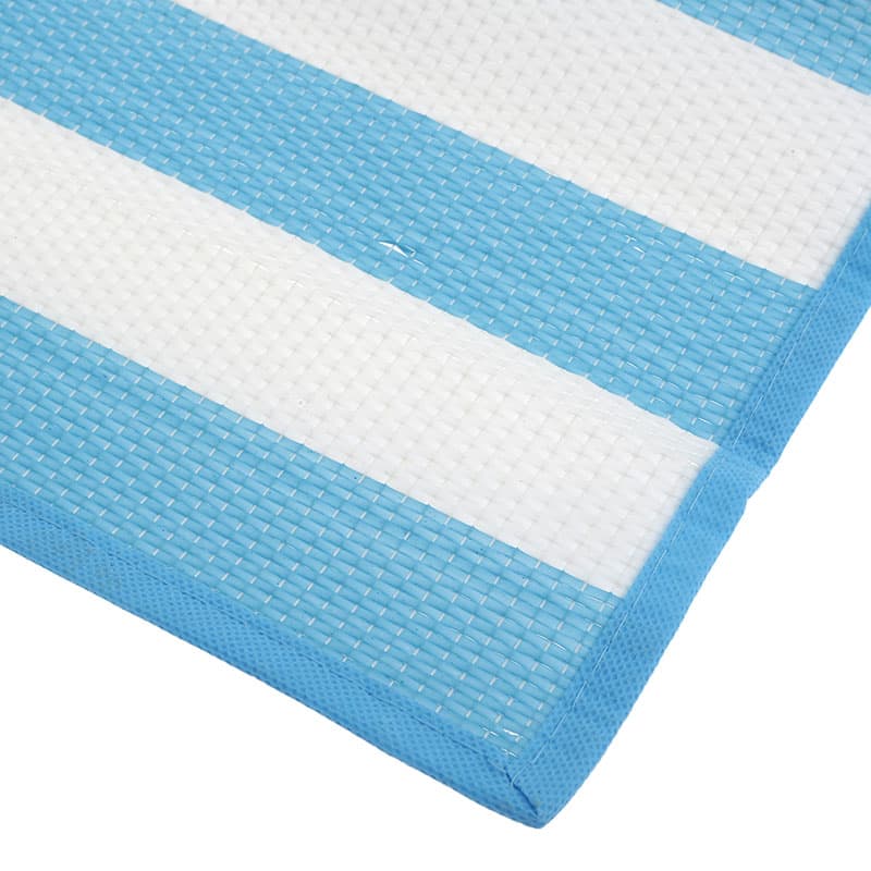 Esterilla Playa Rayas - Vista 3