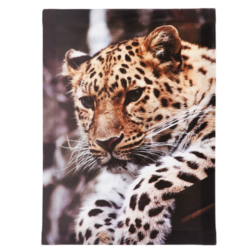 Cuadro Animal Salvaje vista 2