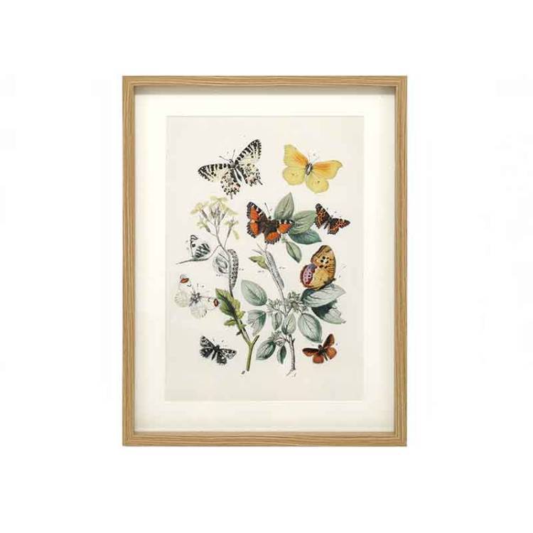 Cuadro Mariposas - Vista 3