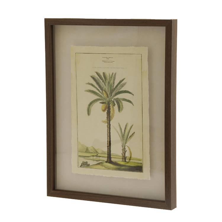 Cuadro Palmera vista 2