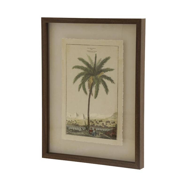 Cuadro Palmera - Vista 3