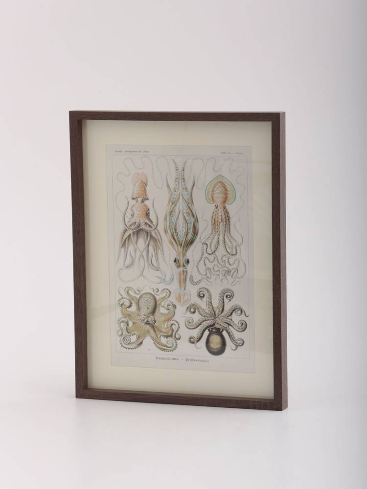 Cuadro Under The Sea - Vista 3