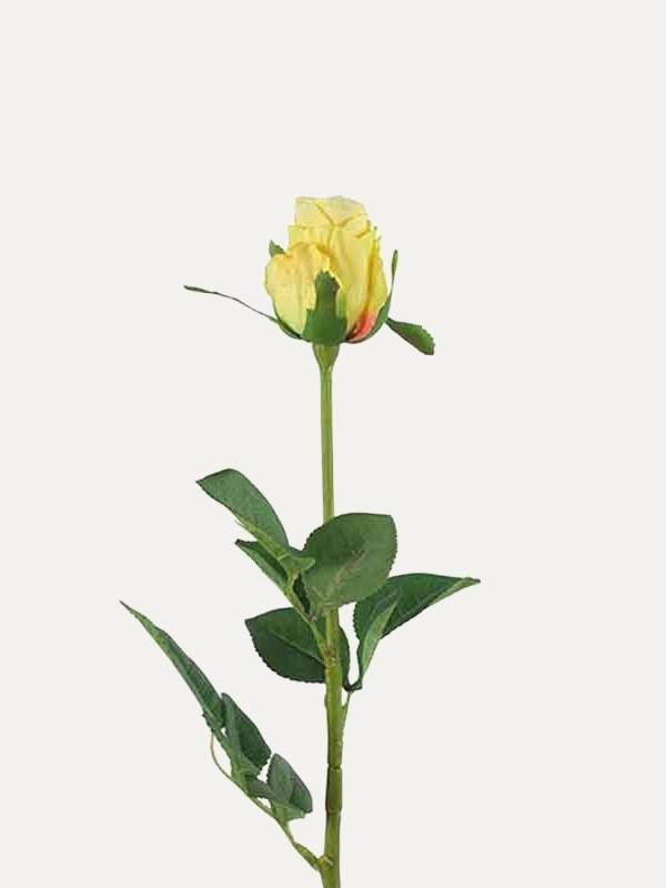 Vara Rosa Amarilla