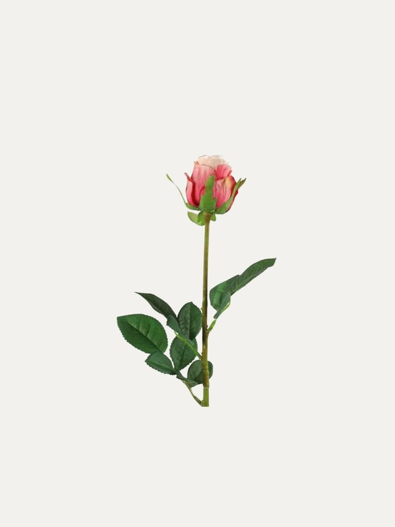 Vara Rosa Multicolor