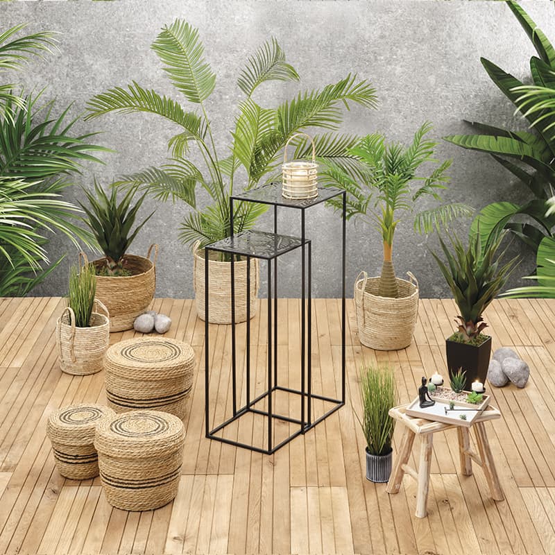 Agave E/Maceta vista 2