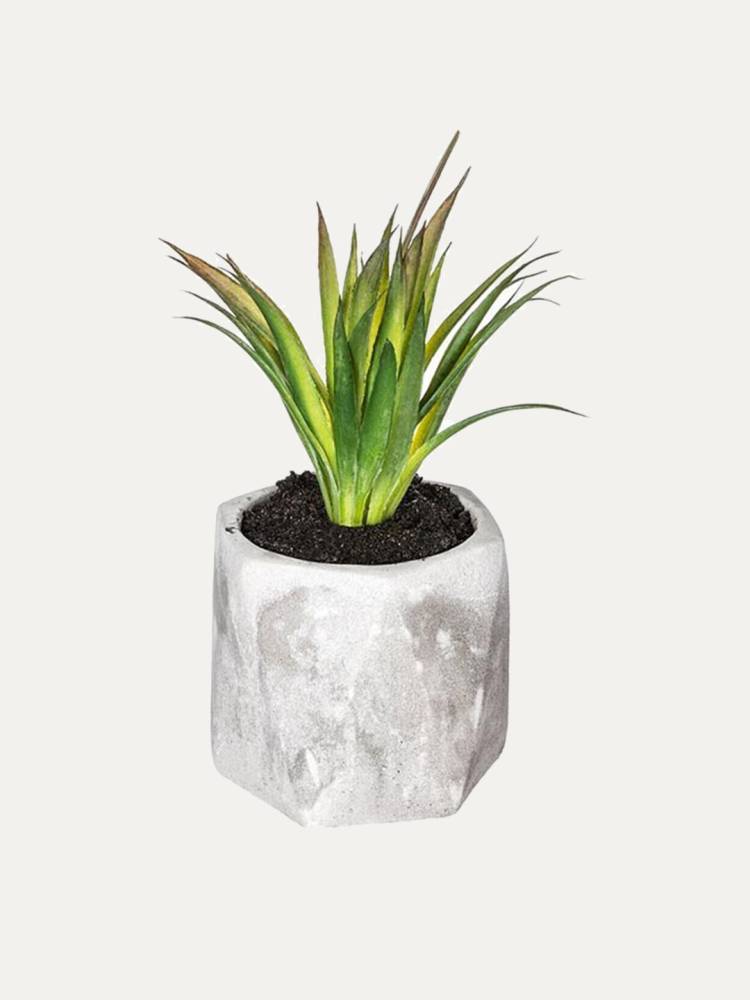 Planta E/Maceta Geometric - Vista 3