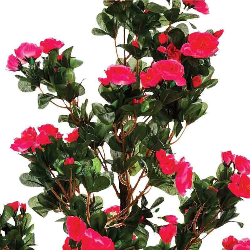 Azalea E/Maceta vista 2