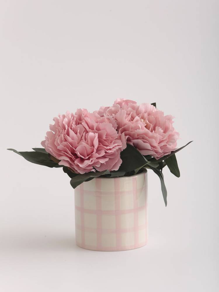 Peonia