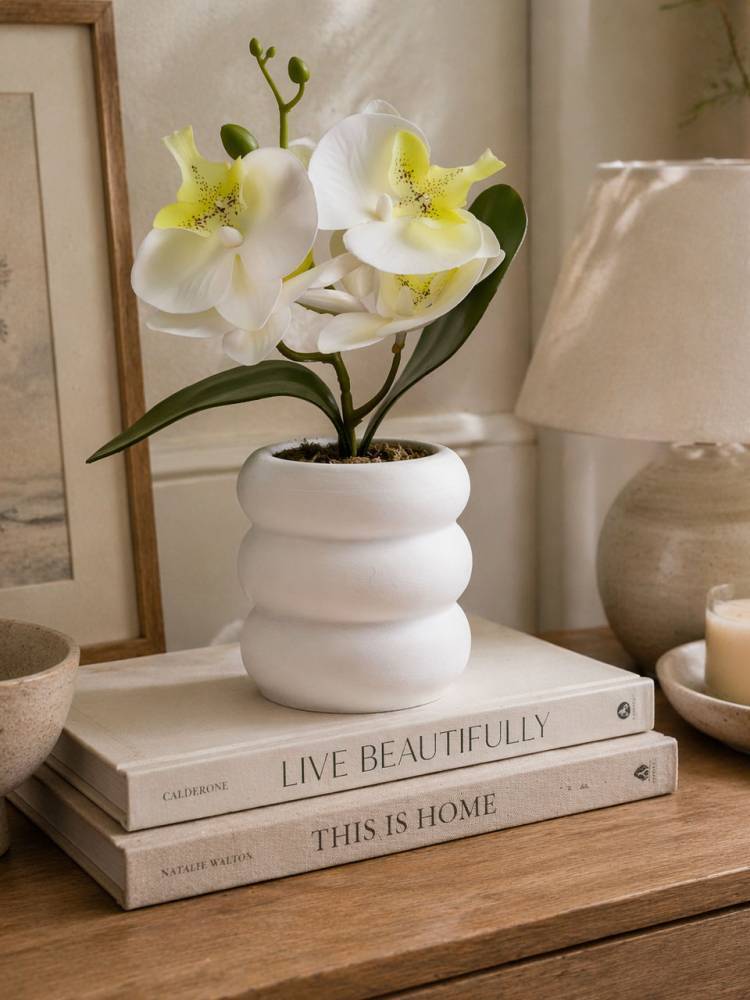 Orquidea E/Mac.mick - Vista 4