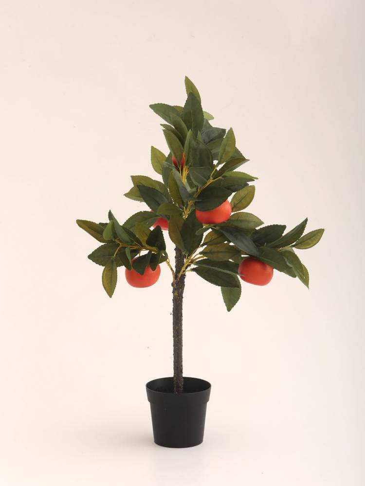 Árbol Frutal