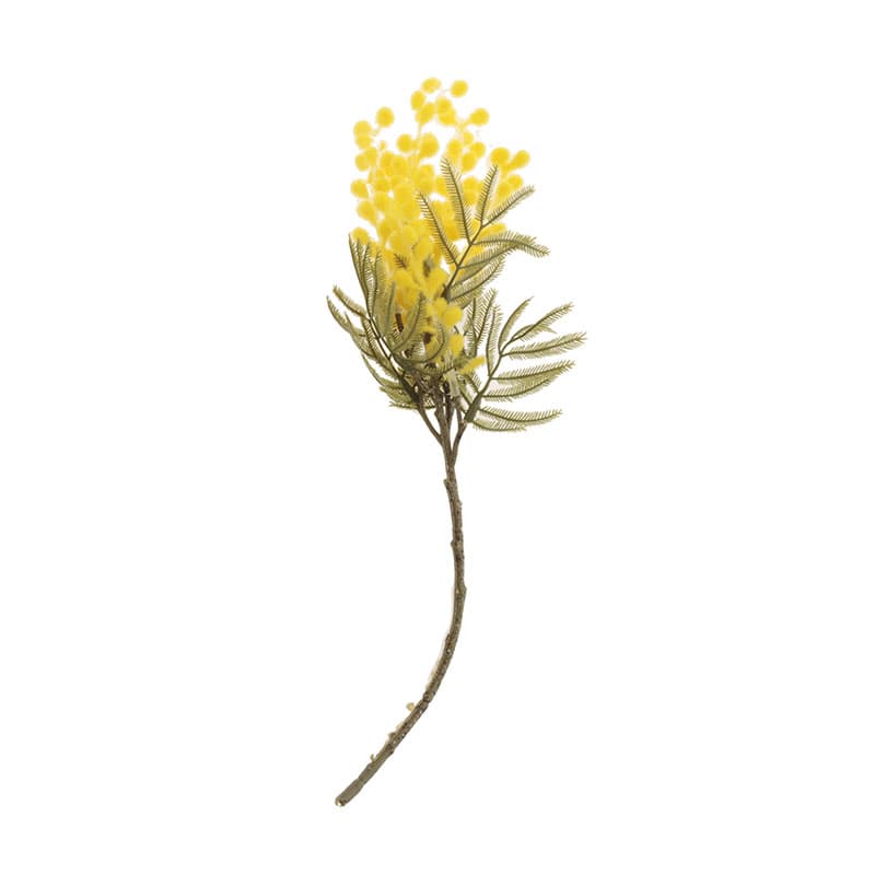 Vara Mimosa Amarilla