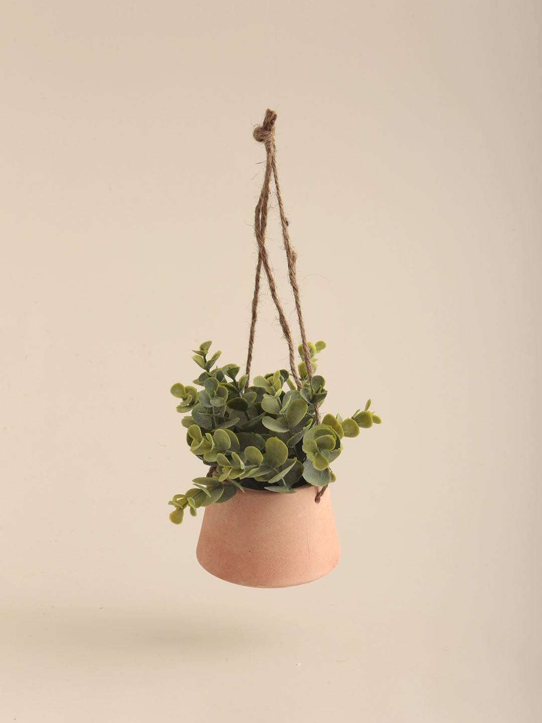 Planta Colgante vista 2