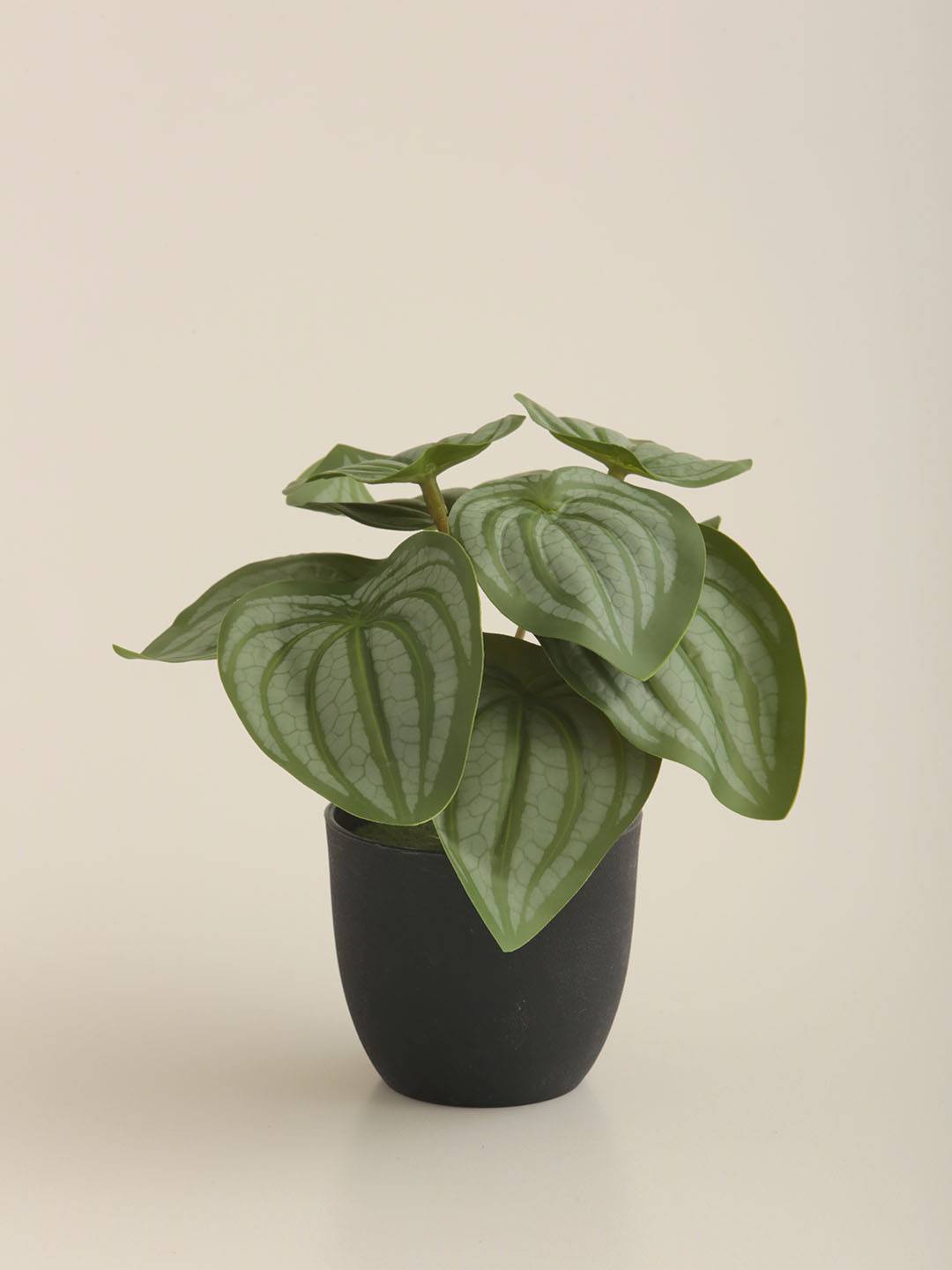 Planta E/Mac vista 2