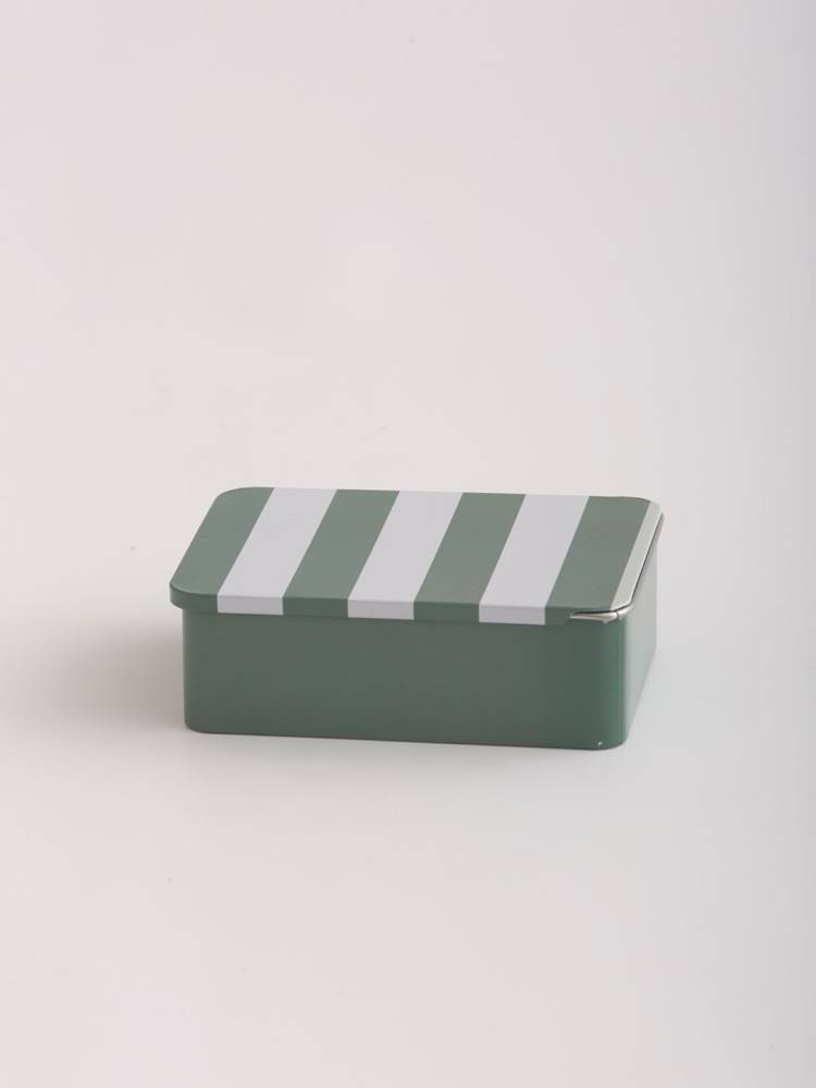 Lata Rayas - Vista 3