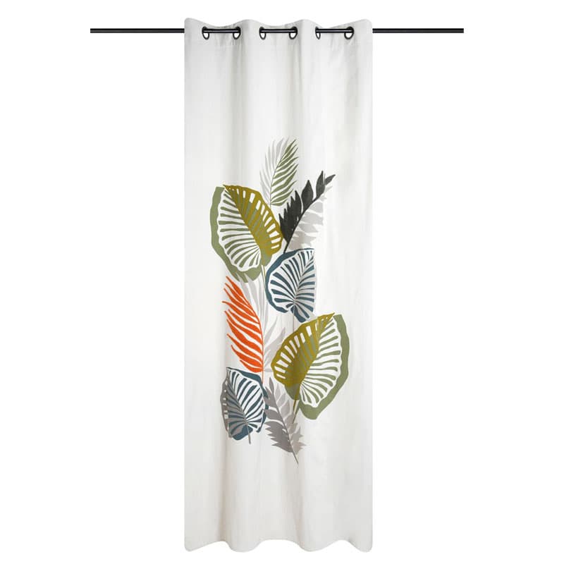 Cortina Kentia Multi