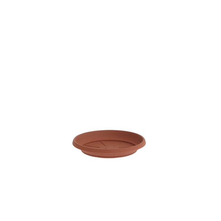 Plato Maceta