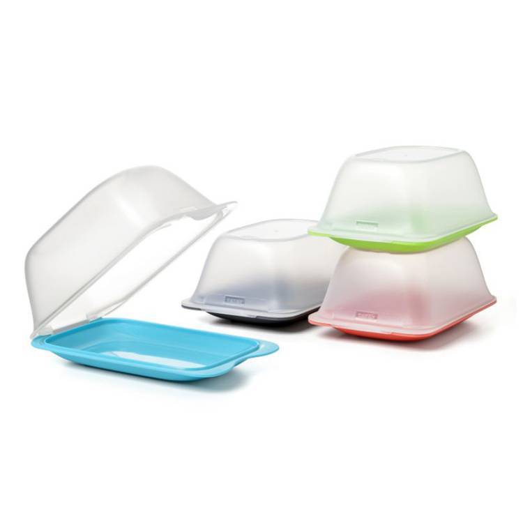 Quesera C/Tapa vista 2