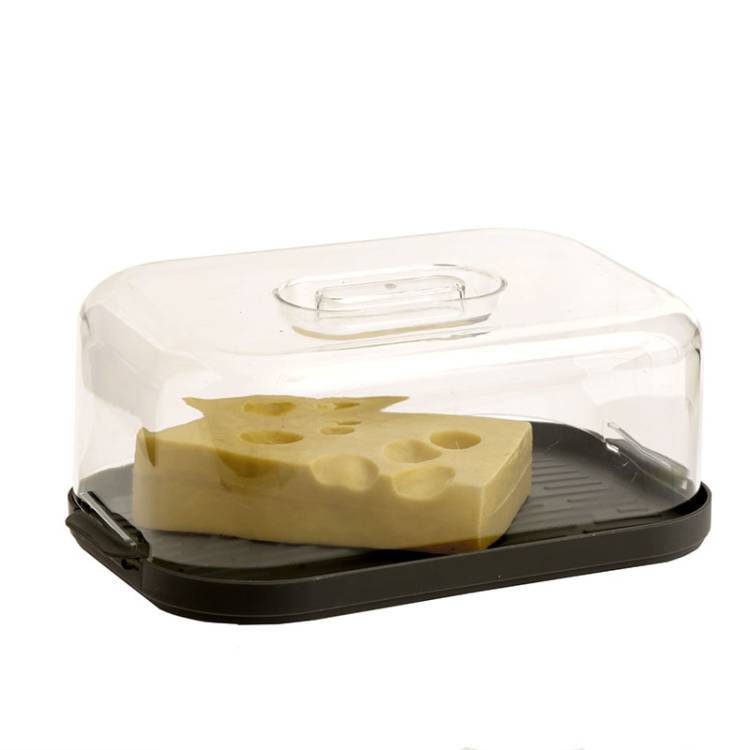 Quesera C/Tapa vista 2