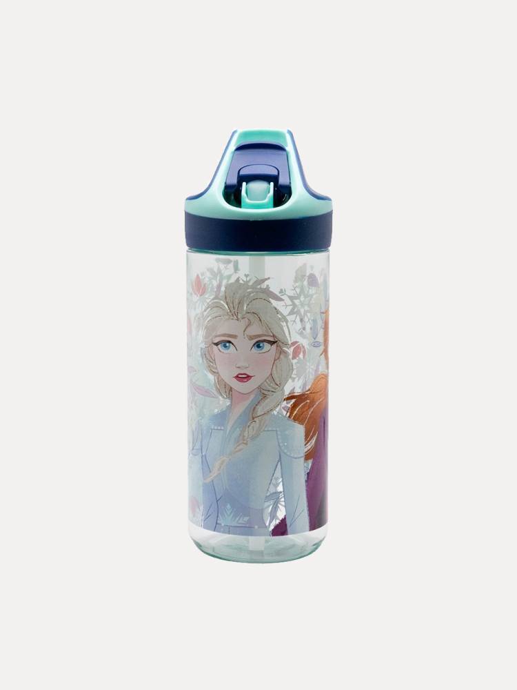 Botella Ecozen Frozen
