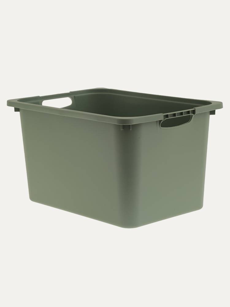 Cesta Green
