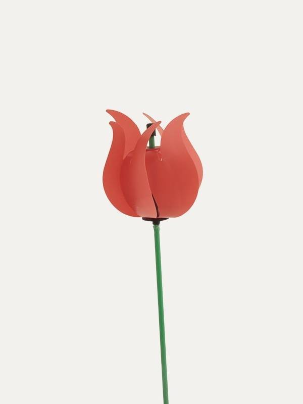 Molino Viento Tulipán