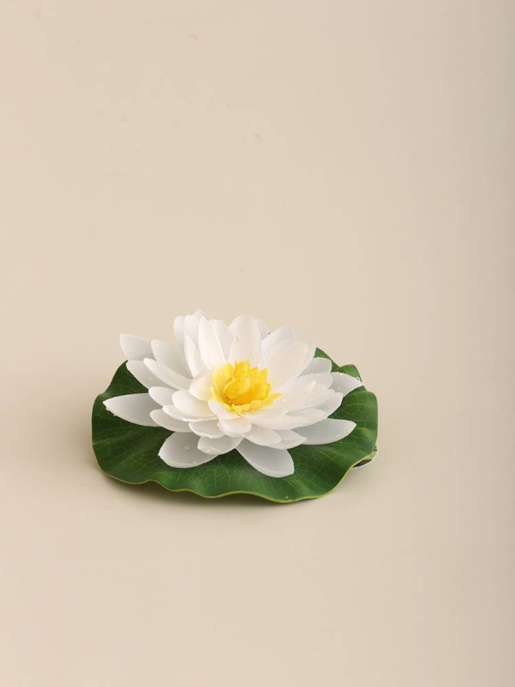 Flor Nenúfar Flotante - Vista 3