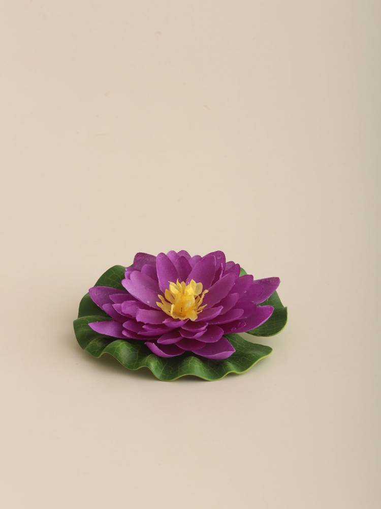 Flor Nenúfar Flotante