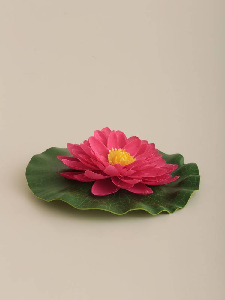 Flor Nenúfar Flotante vista 2