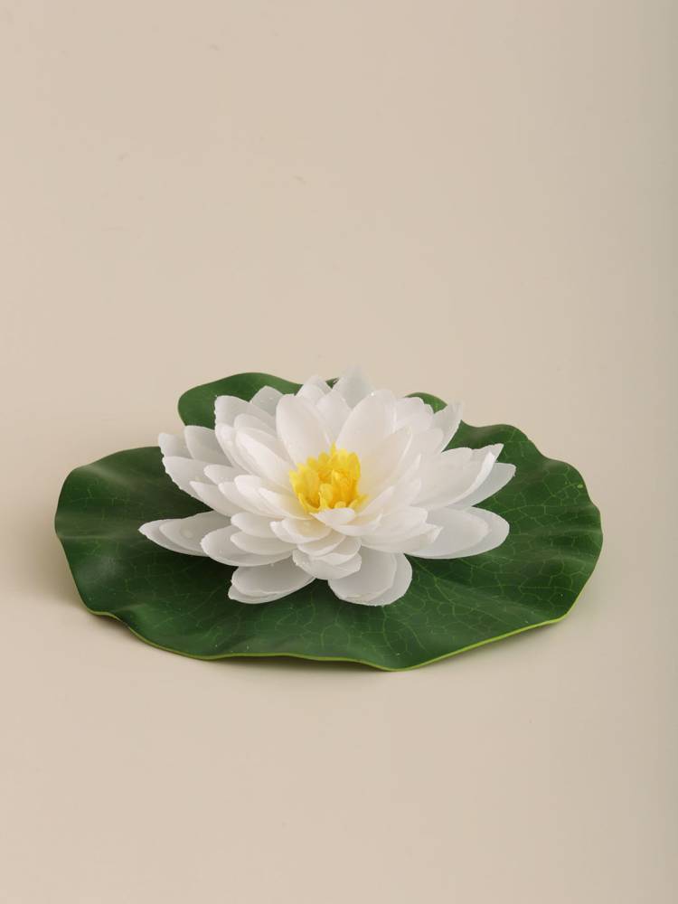 Flor Nenúfar Flotante - Vista 3