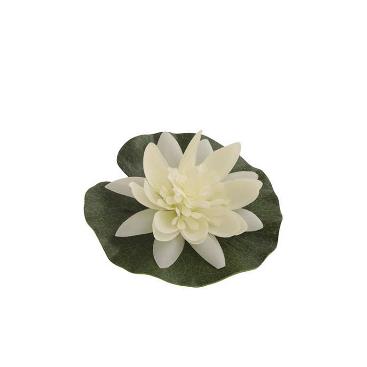 Flor Nenúfar Flotante - Vista 3