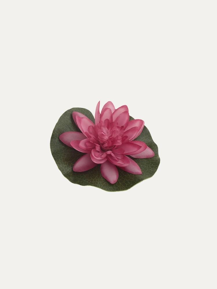 Flor Nenúfar Flotante