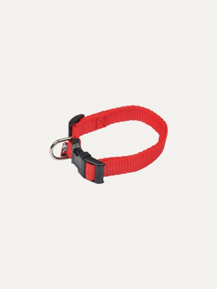 Collar P/Perro Rojo