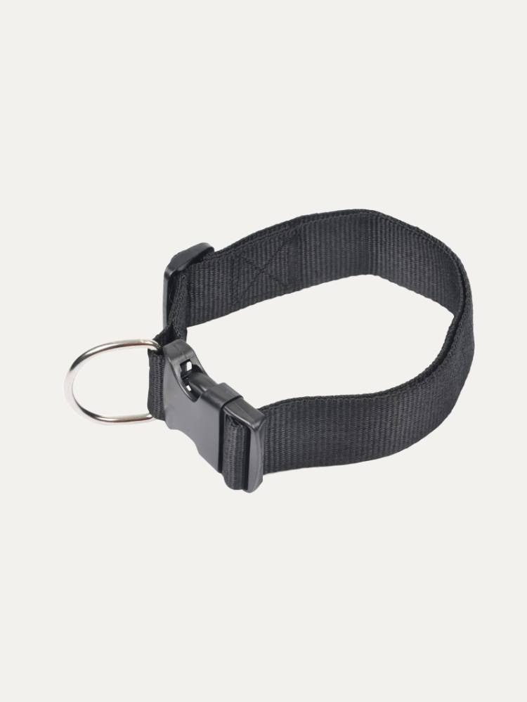 Collar P/Perro Negro