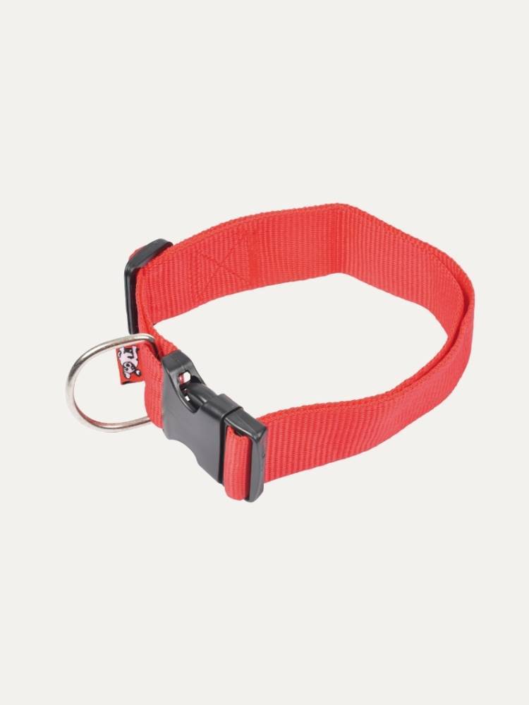 Collar P/Perro Rojo