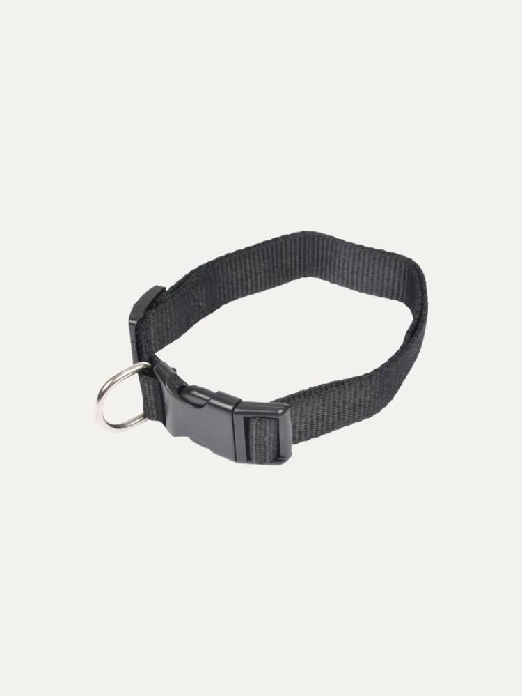 Collar P/Perro Negro