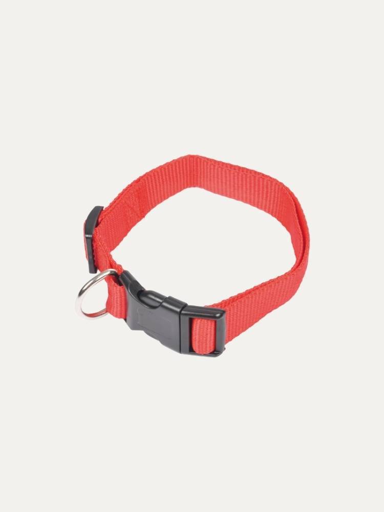 Collar P/Perro Rojo