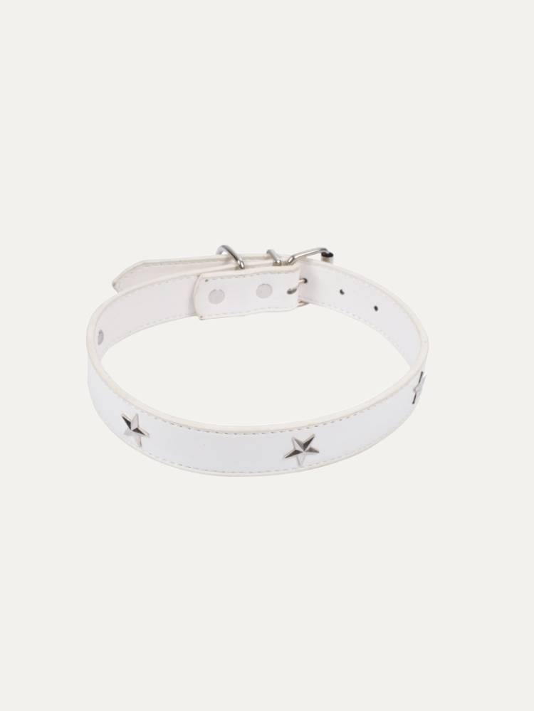 Collar P/Perro C/Estrella