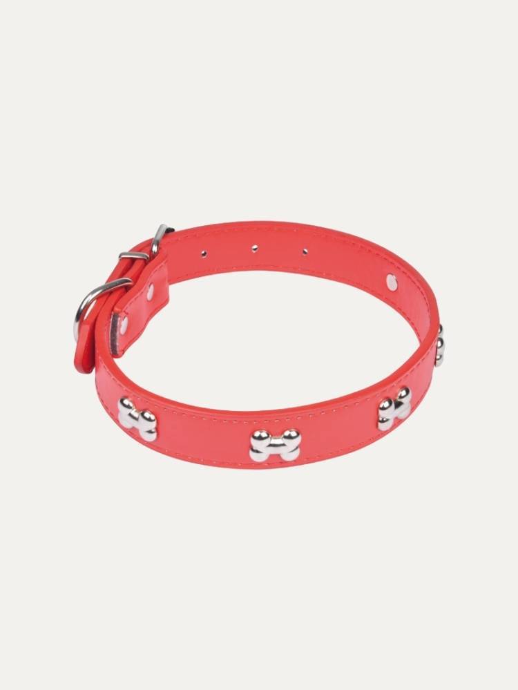 Collar P/Perro C/Huesos