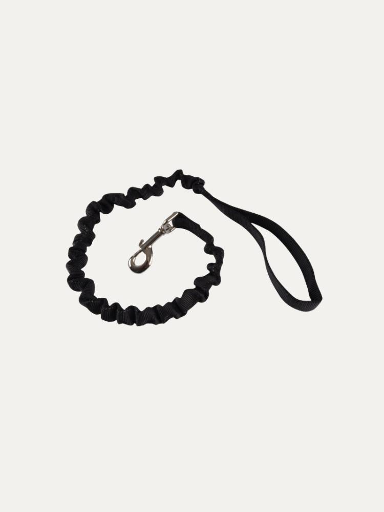 Correa Amortiguador Perro