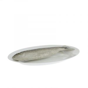 Rocasa Fuente Pescado Gran Gusto